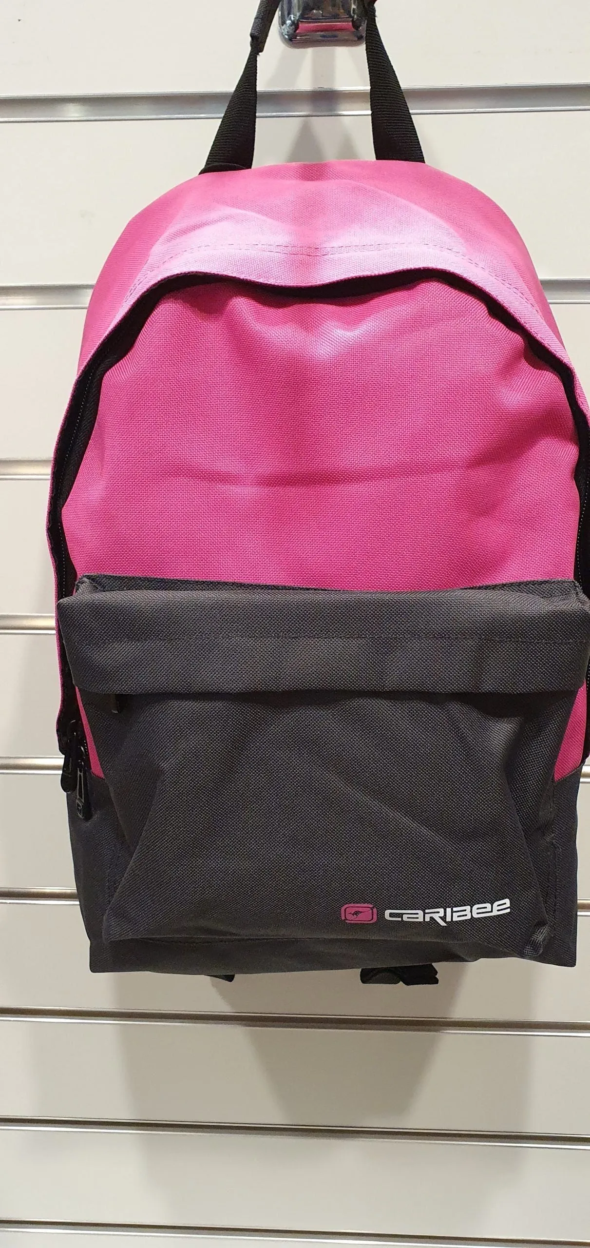 CAMPUS 22L BACKPACK