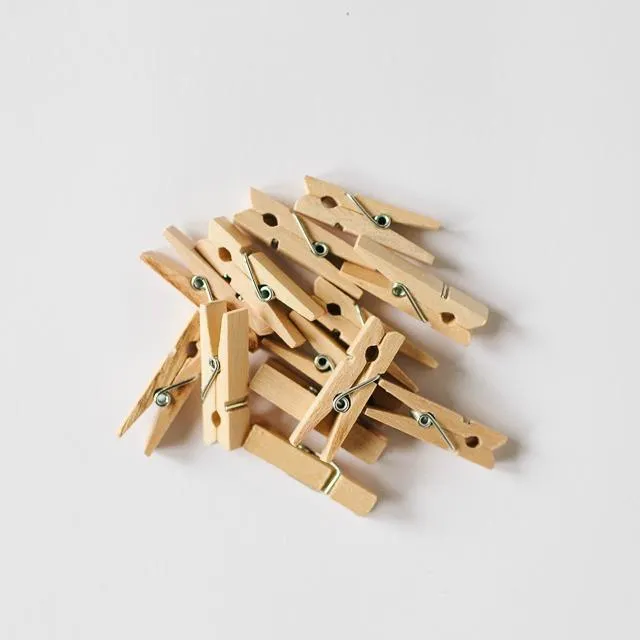 Mini Wooden Pegs (20 pack)